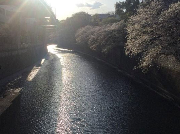 江戸川橋公園